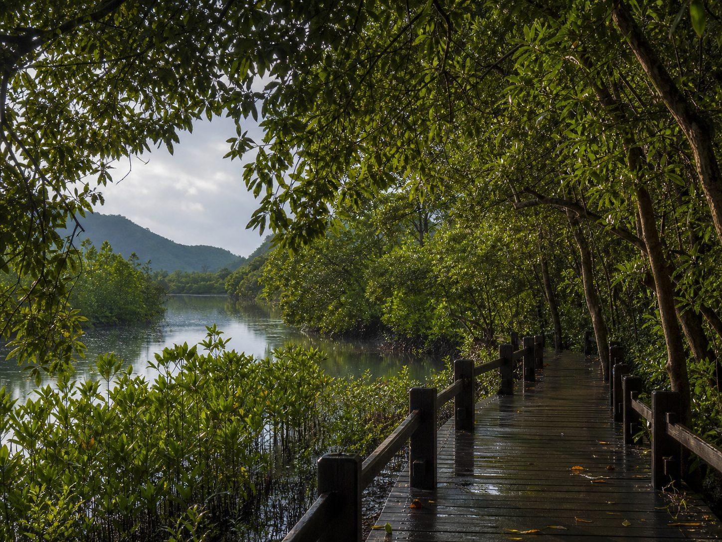 One day in Pranburi: nature, the old market, and a flexible plan